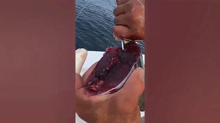 This ain't shark bait!
