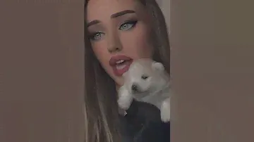 Baby Shark