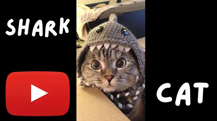Crypto Cat Fight: The Shark Cat Controversy