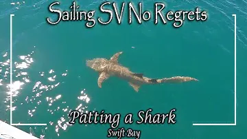 E63 - Aboriginal Art & Patting a Shark, Swift Bay