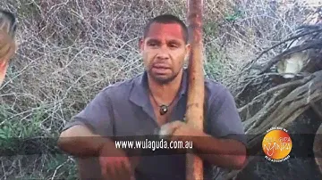 Aboriginal Tours - Shark Bay