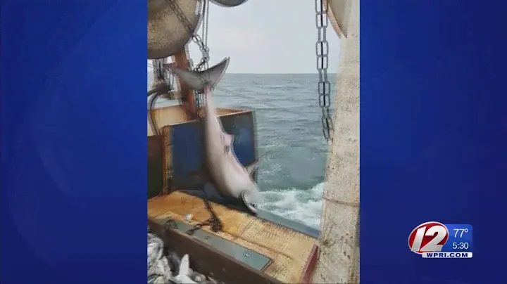 Westerly native recounts catching great white shark near Misquamicut
